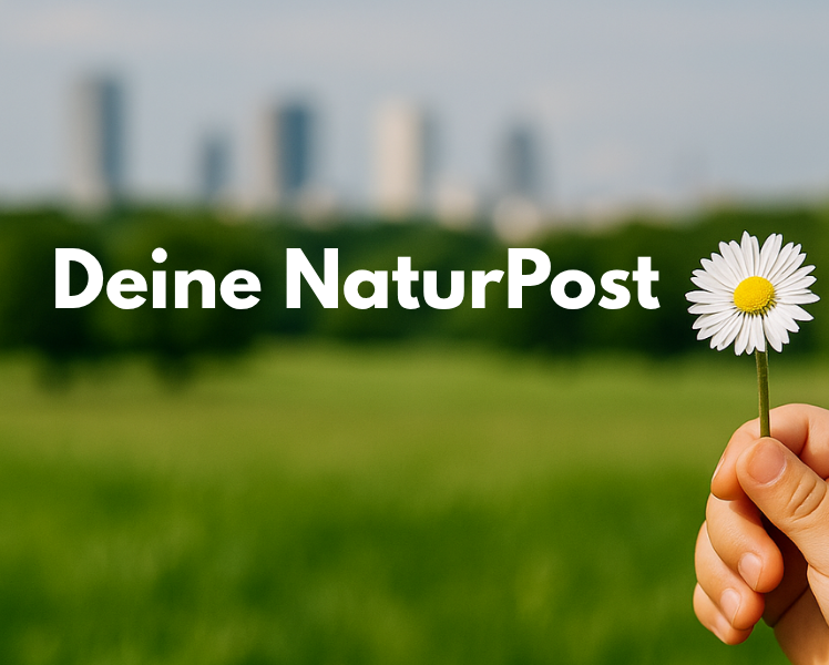 Bärenschmausi Logo NaturPost 